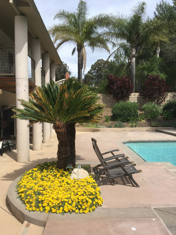 Patio Columns Planter, 2-Story Green Addition & Whole House Remodel, ENR architects, Granbury, TX 76049