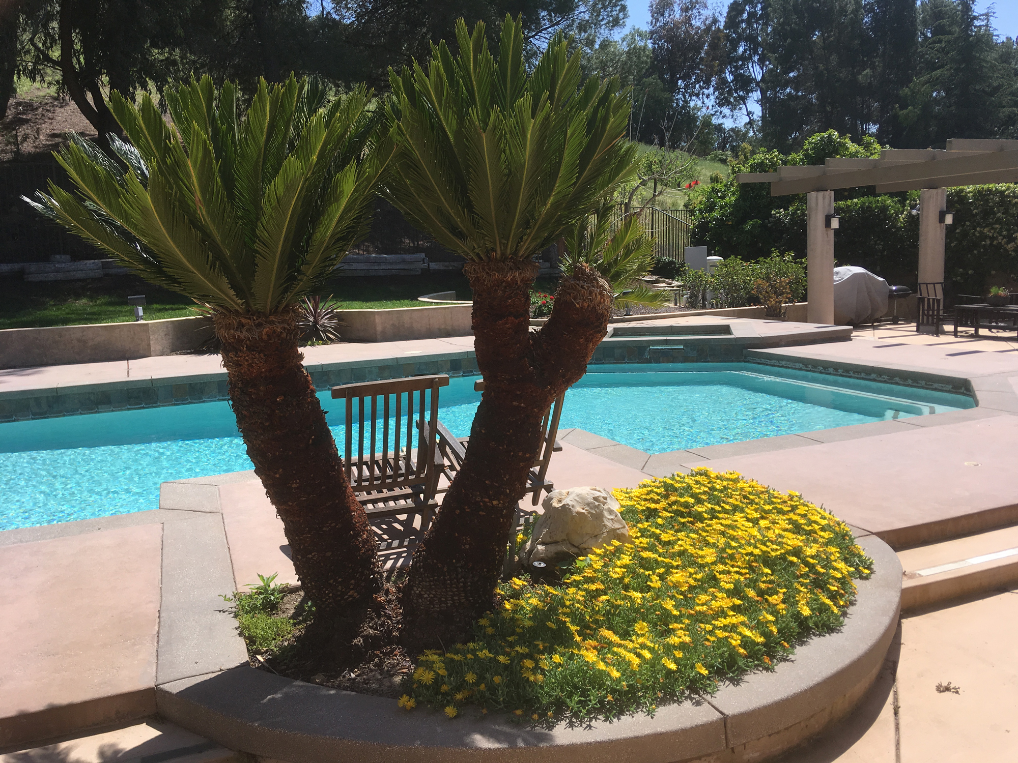 Planter Pool, 2-Story Green Addition & Whole House Remodel, ENR architects, Granbury, TX 76049