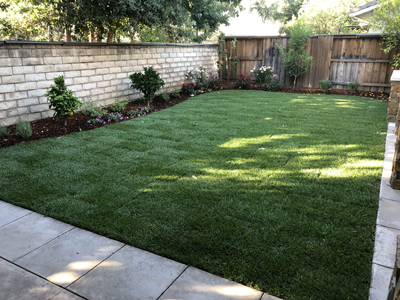 Existing Landscape Rear view to east, ENRarchitects, Granbury, TX 76049